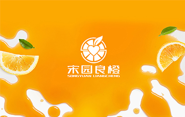 某良橙——中山LOGO设计